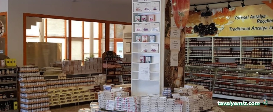 Yenigün Gıda A.ş. (Altınova Fabrika)