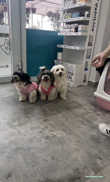 Yenikent Veteriner Kliniği