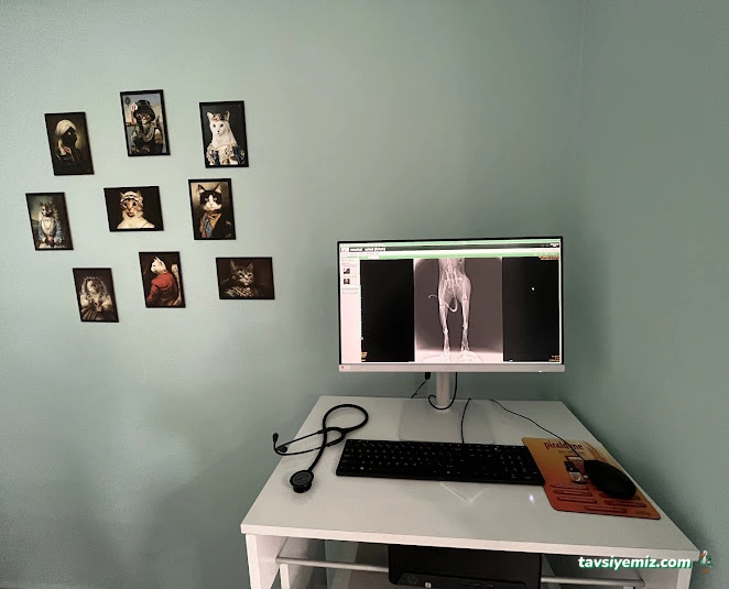 Yenikent Veteriner Kliniği