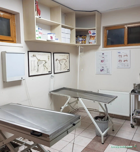 Yenimahalle Veteriner Kliniği