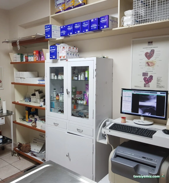 Yenimahalle Veteriner Kliniği