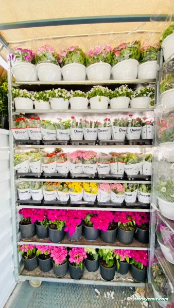 Yeşil Aksaray Peyzaj