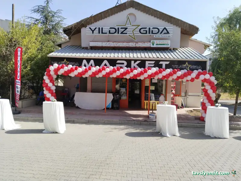 Yıldız Gıda
