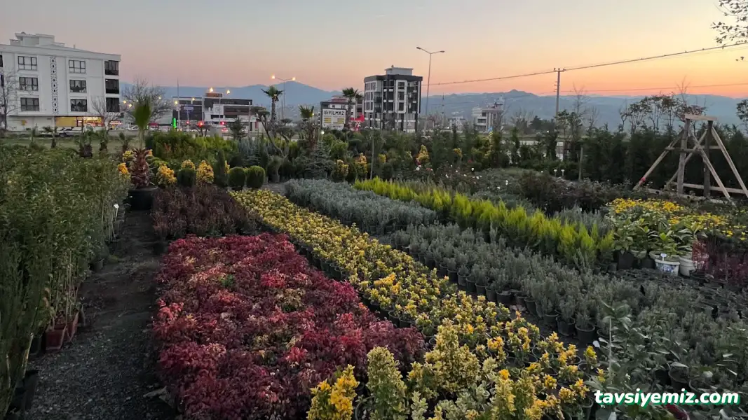 Yılmaz Fidancılık & Peyzaj Botanik , Sulama