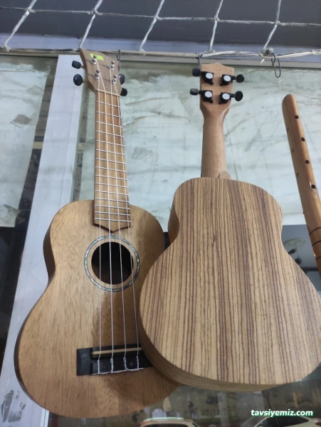 Yılmaz Müzik Ş.urfa