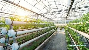 Yılmaz Ticaret-Seracılık