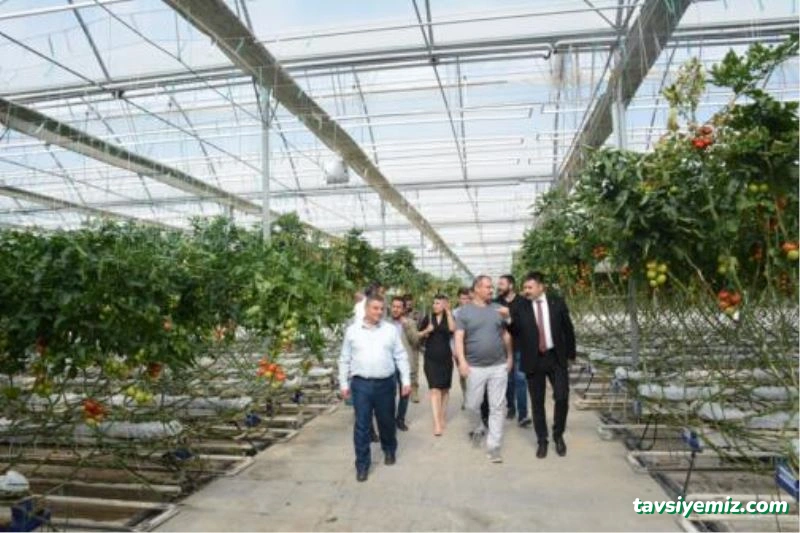 Yılmaz Ticaret-Seracılık