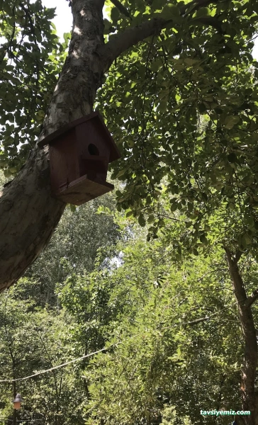 Yozgat Kazlı Bahçe