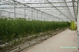 Yozgat Sorgun Sera Ercansa