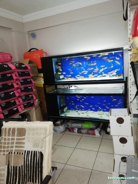 Yunus Akvaryum & Petshop