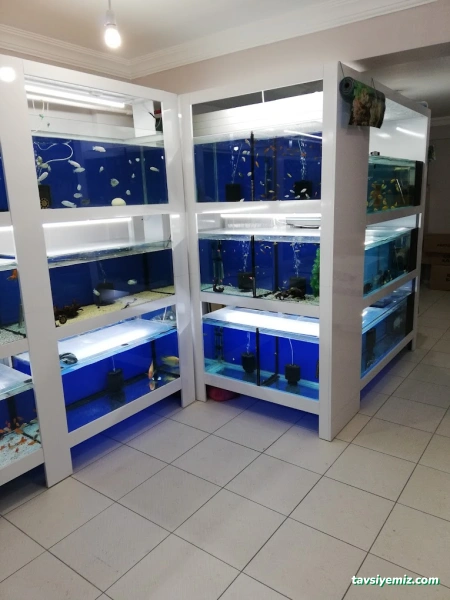 Yunus Akvaryum & Petshop