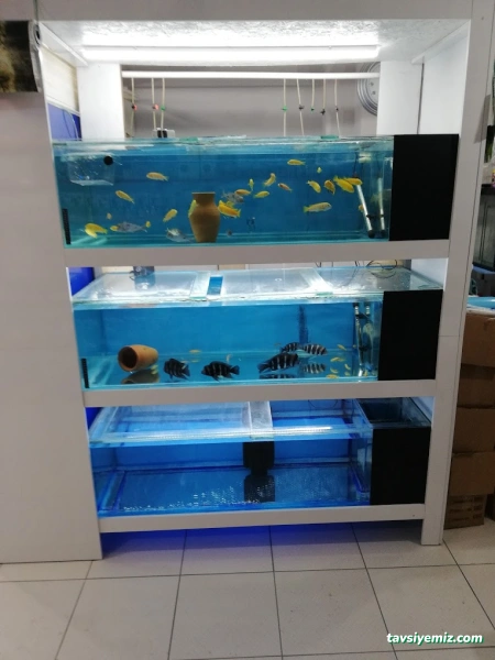 Yunus Akvaryum & Petshop