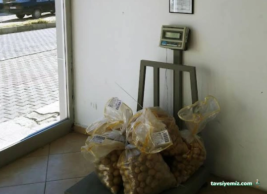 Yurtiçi Kargo Nevşehir