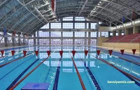 Yüzme Havuzu Agua Park