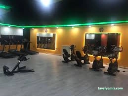 Zeus Gym Fıtness Club