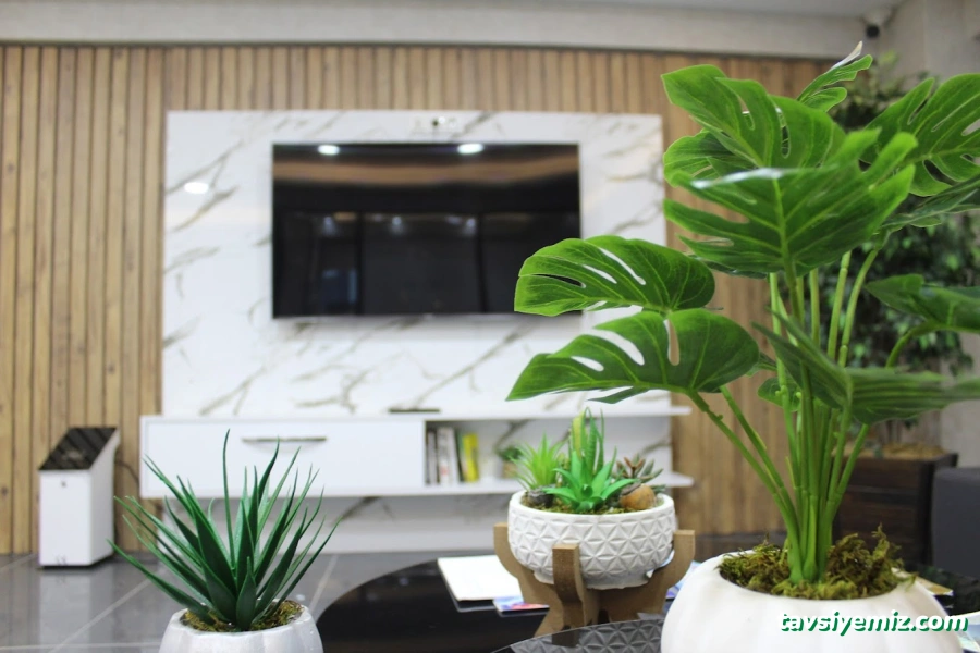 Zeynep Özbayrak Ağız Ve Diş Sağlığı Polikliniği