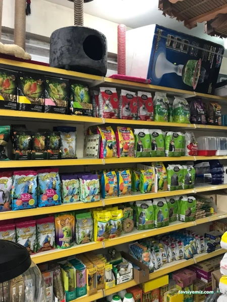 Zeytinburnu Duygu Pet Shop