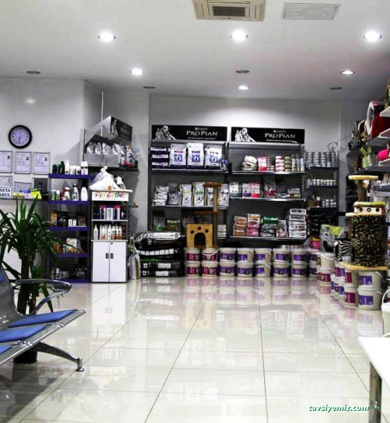 Zeytinburnu Veteriner Kliniği