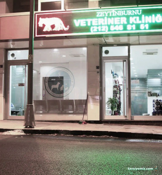 Zeytinburnu Veteriner Kliniği