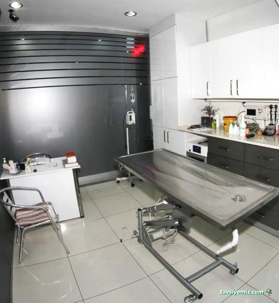 Zeytinburnu Veteriner Kliniği