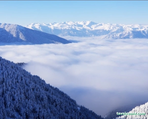 Zigana Gümüşkayak Yaylakent Hotel & Bungalow