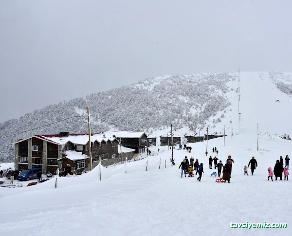 Zigana Gümüşkayak Yaylakent Hotel & Bungalow