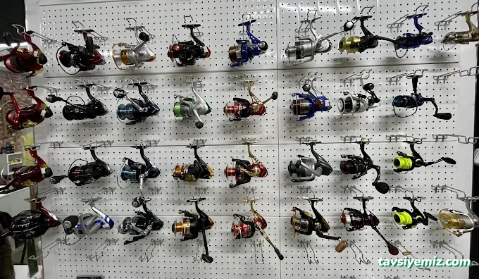 Zonguldak 67 Av Bayii