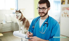 Zozan Veteriner Kliniği