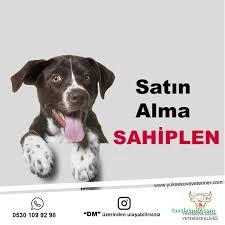 Zozan Veteriner Kliniği