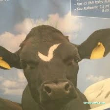 Zozan Veteriner Kliniği