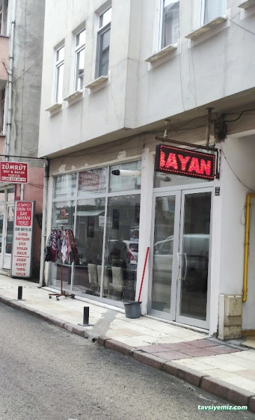 Zümrüt Bay-Bayan Terzi