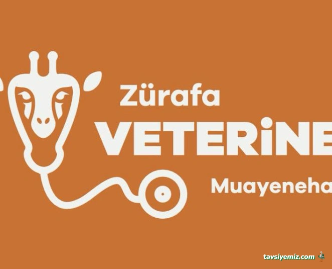 Zürafa Veteriner Muayenehanesi