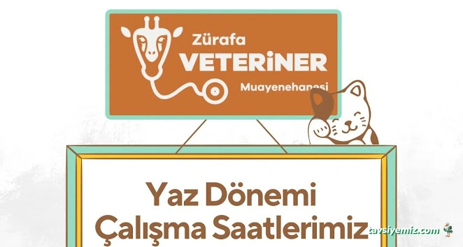 Zürafa Veteriner Muayenehanesi
