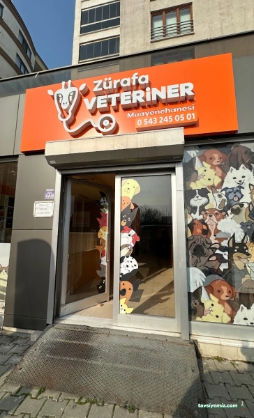 Zürafa Veteriner Muayenehanesi