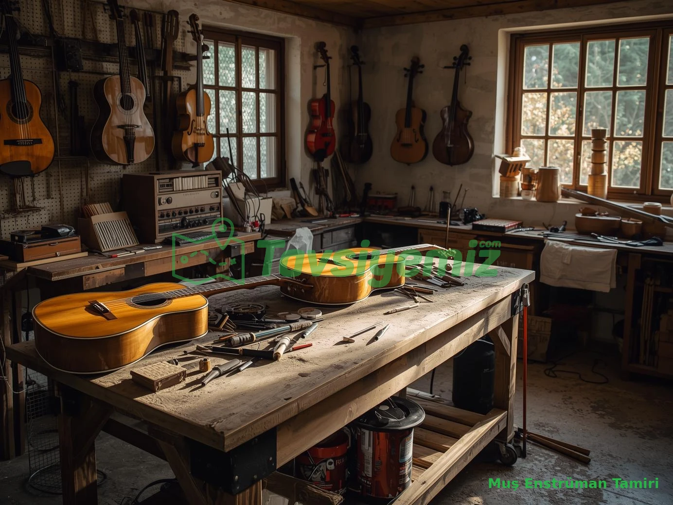 Muş Enstrüman Tamiri