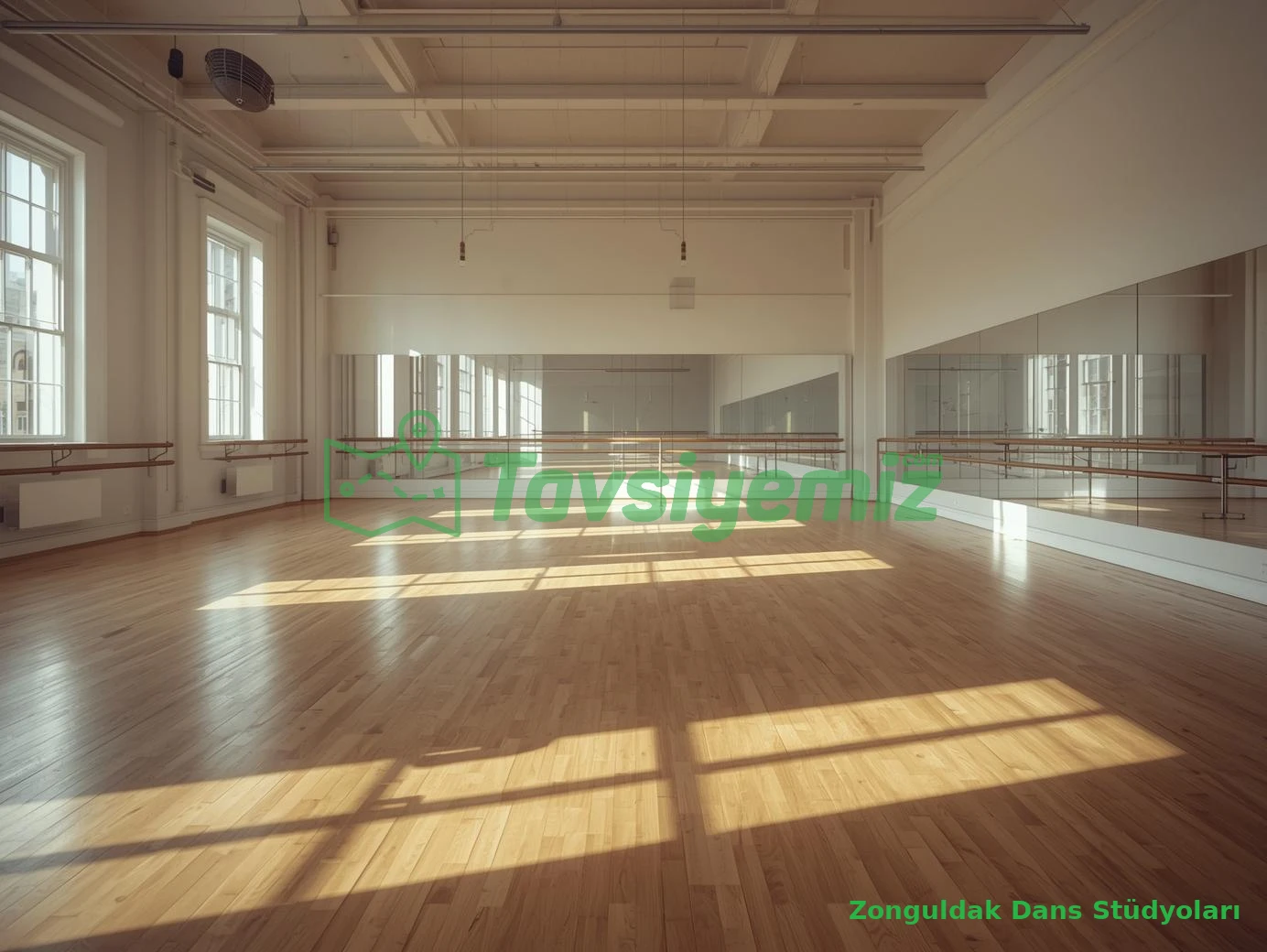 Zonguldak Dans Stüdyosu