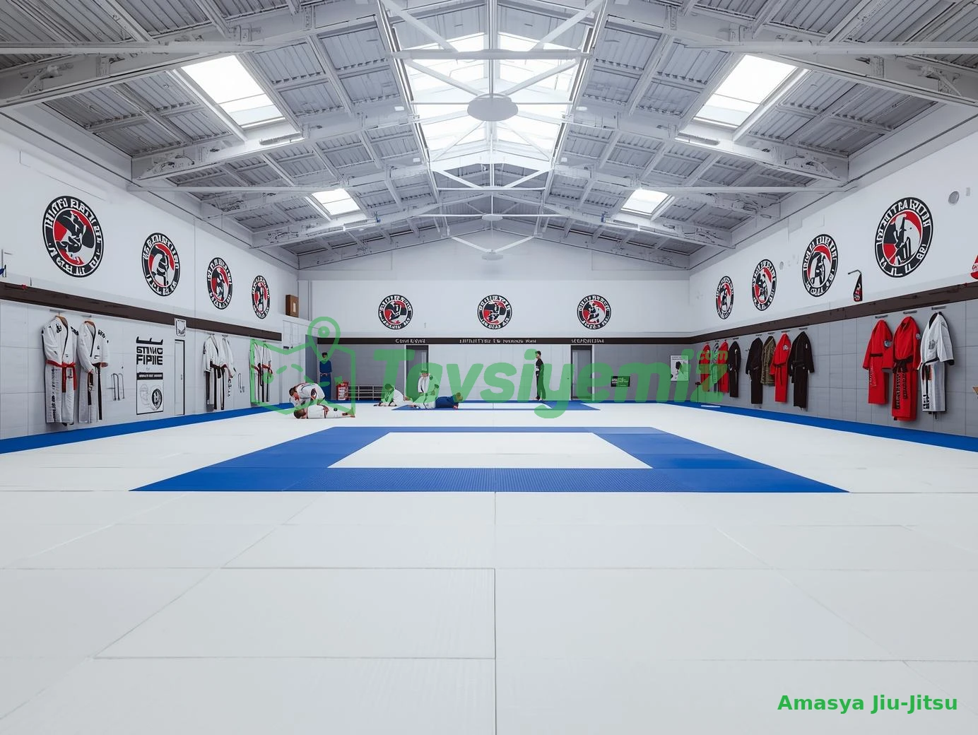 Amasya Jiu-Jitsu