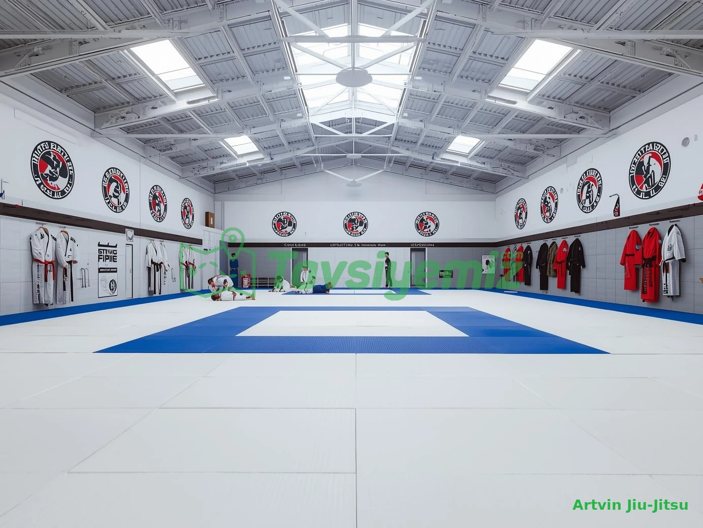 Artvin Jiu-Jitsu